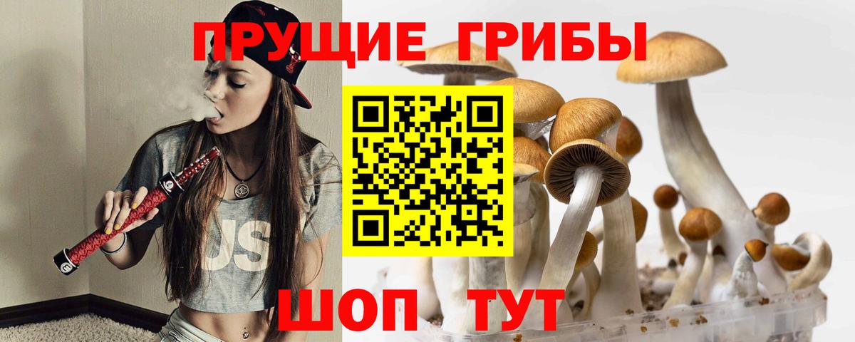 Галлюциногенные грибы ЛСД  Галлюциногенные грибы Psilocybe  Вход с VPN  Великие Луки 